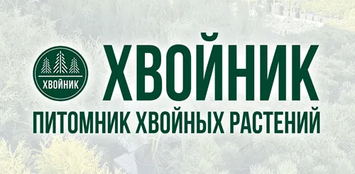 Хвойник