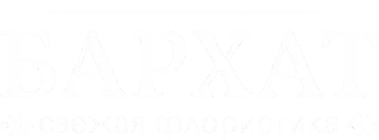 Бархат