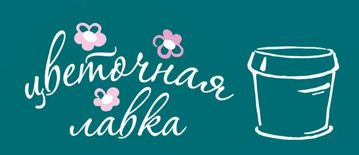 Цветочная лавка