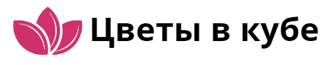 Цветы в кубе